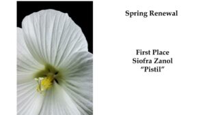 6 Northern Virginia Conservation Trust Photography Competition
