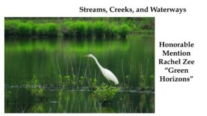 7 Northern Virginia Conservation Trust Photography Competition