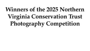 Winners of the 2025 Northern Virginia Conservation Trust Photography Competition